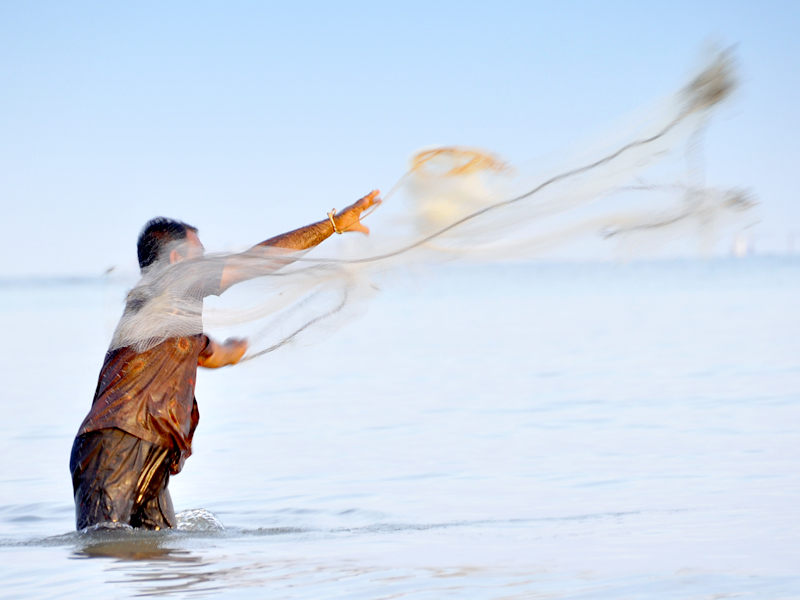 Fisherman Casting Wide Net