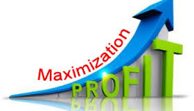 Profits Maximization